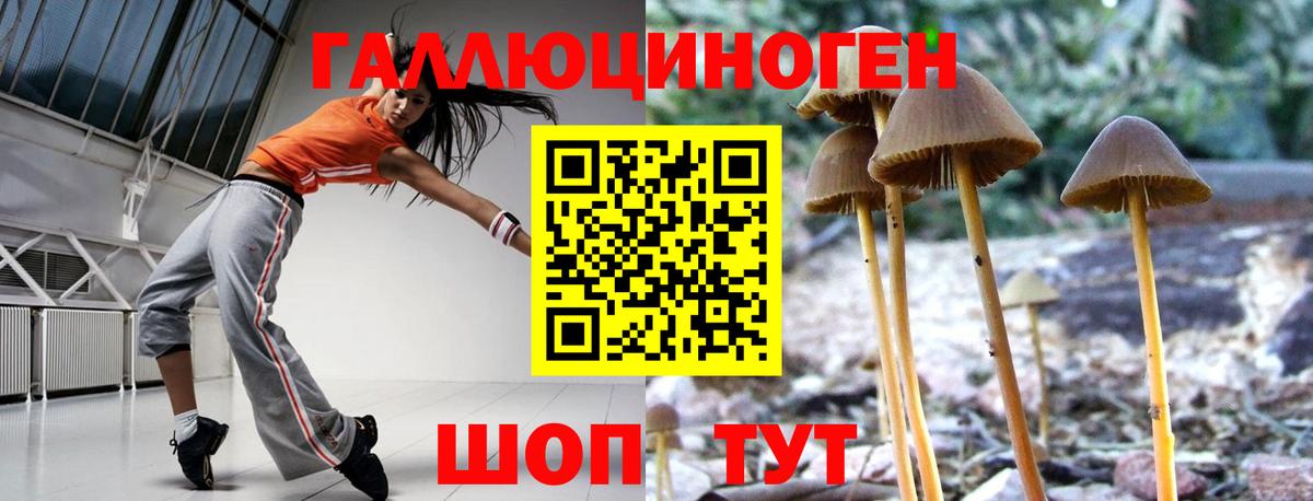 Псилоцибиновые грибы MAGIC MUSHROOMS  Вход с VPN  Псилоцибиновые грибы мицелий  Апрелевка 